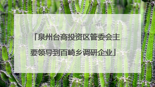 泉州台商投资区管委会主要领导到百崎乡调研企业
