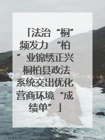 法治“桐”频发力 “柏”业锦绣正兴 桐柏县政法系统交出优化营商环境“成绩单”