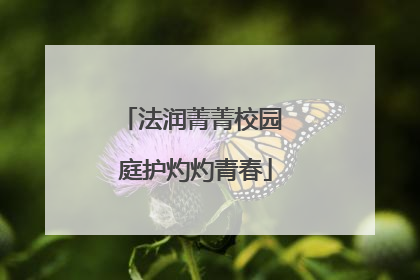 法润菁菁校园 庭护灼灼青春