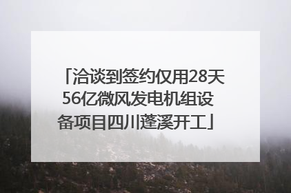 洽谈到签约仅用28天 56亿微风发电机组设备项目四川蓬溪开工