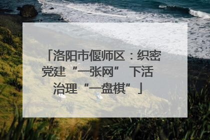洛阳市偃师区：织密党建“一张网” 下活治理“一盘棋”