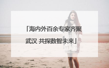 海内外百余专家齐聚武汉 共探数智未来