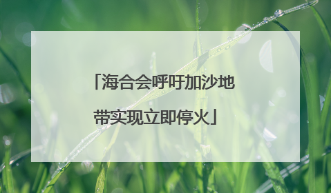 海合会呼吁加沙地带实现立即停火