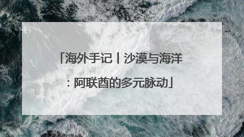 海外手记丨沙漠与海洋：阿联酋的多元脉动