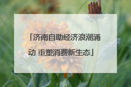 济南自助经济浪潮涌动 重塑消费新生态