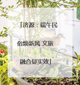 济源：端午民俗焕新风 文旅融合显实效