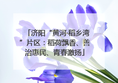 济阳“黄河·稻乡湾”片区：稻荷飘香、善治惠民、青春激扬