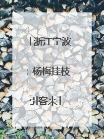 浙江宁波：杨梅挂枝引客来