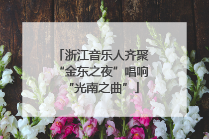 浙江音乐人齐聚“金东之夜”唱响“光南之曲”