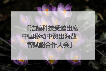 浩鲸科技受邀出席中国移动中资出海数智赋能合作大会
