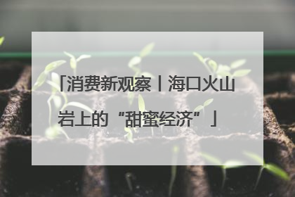 消费新观察丨海口火山岩上的“甜蜜经济”