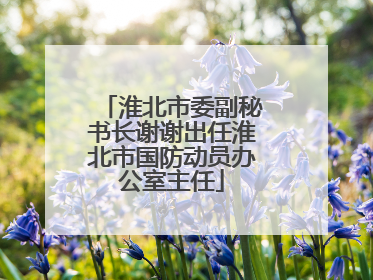 淮北市委副秘书长谢谢出任淮北市国防动员办公室主任