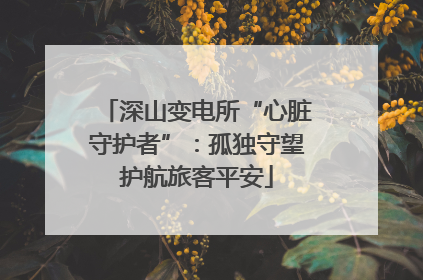 深山变电所“心脏守护者”：孤独守望护航旅客平安