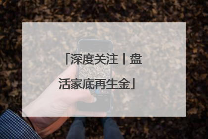 深度关注丨盘活家底再生金