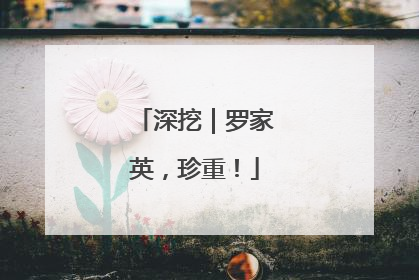 深挖｜罗家英，珍重！
