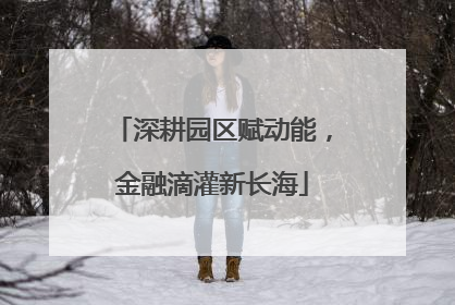 深耕园区赋动能，金融滴灌新长海
