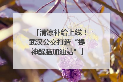清凉补给上线！武汉公交打造“提神醒脑加油站”
