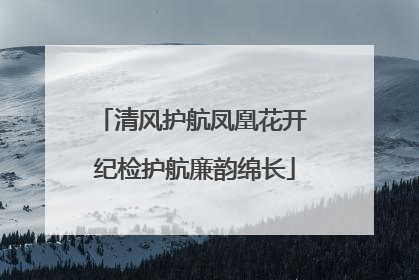 清风护航凤凰花开 纪检护航廉韵绵长