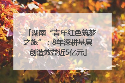湖南“青年红色筑梦之旅”：8年深耕基层创造效益近5亿元