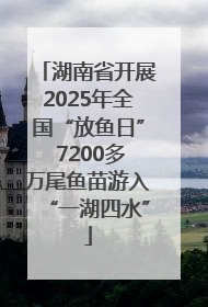 湖南省开展2025年全国“放鱼日” 7200多万尾鱼苗游入“一湖四水”