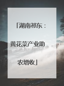 湖南祁东：黄花菜产业助农增收