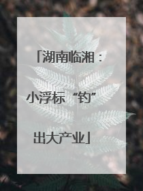 湖南临湘：小浮标“钓”出大产业