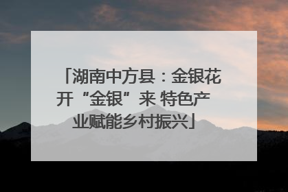 湖南中方县：金银花开“金银”来 特色产业赋能乡村振兴