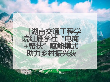 湖南交通工程学院红雁学社“电商+帮扶”赋能模式 助力乡村振兴获帮扶乡镇好评