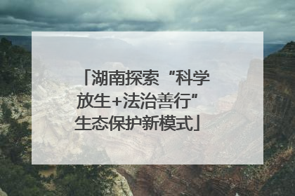 湖南探索“科学放生+法治善行”生态保护新模式