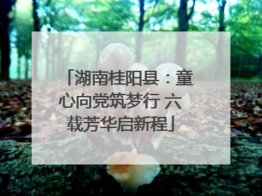 湖南桂阳县：童心向党筑梦行 六载芳华启新程