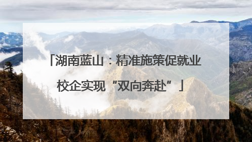 湖南蓝山：精准施策促就业 校企实现“双向奔赴”