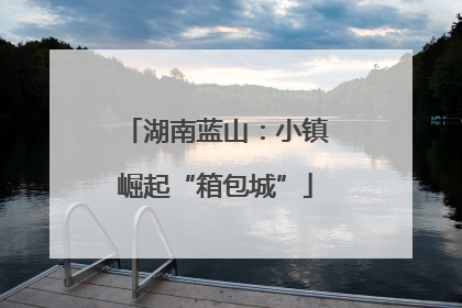 湖南蓝山：小镇崛起“箱包城”