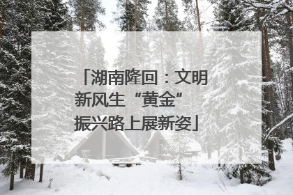 湖南隆回：文明新风生“黄金” 振兴路上展新姿