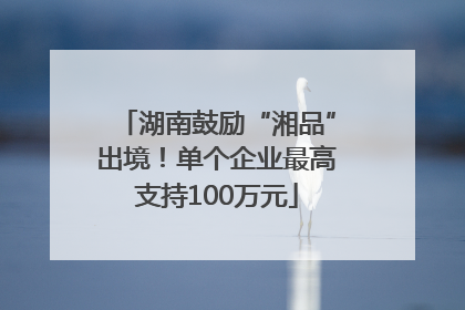 湖南鼓励“湘品”出境！单个企业最高支持100万元