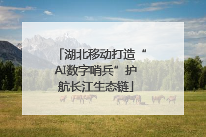 湖北移动打造“AI数字哨兵”护航长江生态链