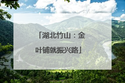 湖北竹山：金叶铺就振兴路