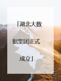 湖北大数据集团正式成立