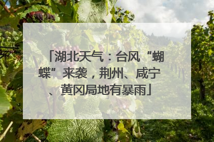 湖北天气：台风“蝴蝶”来袭，荆州、咸宁、黄冈局地有暴雨