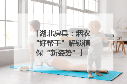 湖北房县：烟农“好帮手”解锁植保“新姿势”