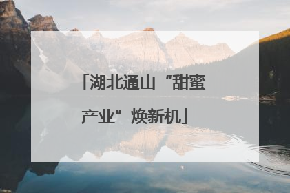 湖北通山“甜蜜产业”焕新机