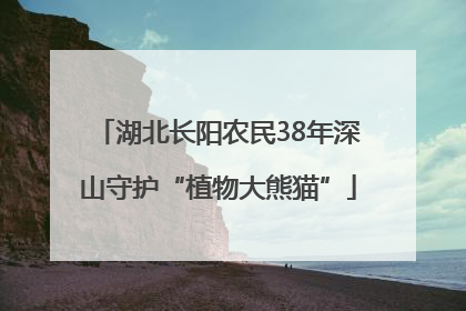 湖北长阳农民38年深山守护“植物大熊猫”