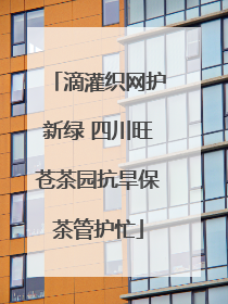滴灌织网护新绿 四川旺苍茶园抗旱保茶管护忙