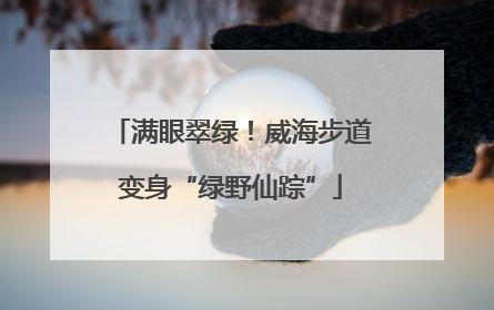满眼翠绿！威海步道变身“绿野仙踪”