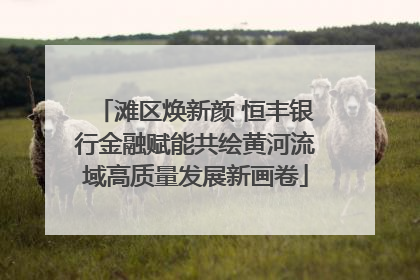 滩区焕新颜 恒丰银行金融赋能共绘黄河流域高质量发展新画卷