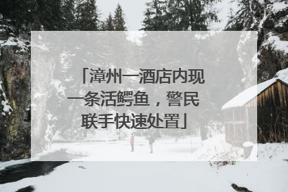 漳州一酒店内现一条活鳄鱼，警民联手快速处置