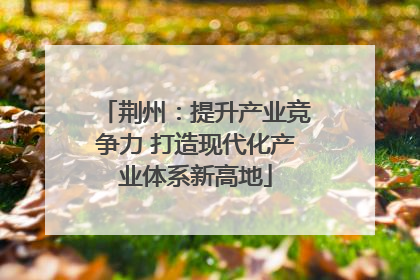 荆州：提升产业竞争力 打造现代化产业体系新高地