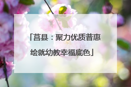 莒县：聚力优质普惠 绘就幼教幸福底色
