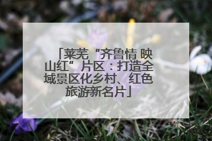 莱芜“齐鲁情 映山红”片区：打造全域景区化乡村、红色旅游新名片
