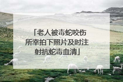 老人被毒蛇咬伤 所幸拍下照片及时注射抗蛇毒血清
