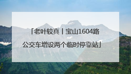 老叶较真丨宝山1604路公交车增设两个临时停靠站